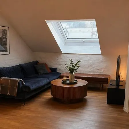 Appartement Scandinavian Loft On Frogner *