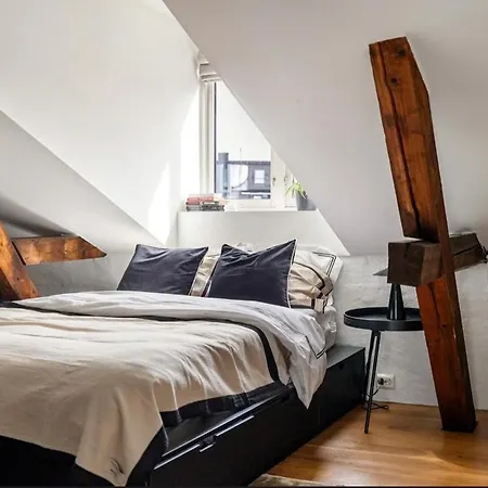Scandinavian Loft On Frogner Appartement Oslo