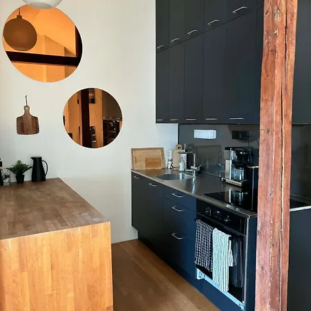 Scandinavian Loft On Frogner Oslo
