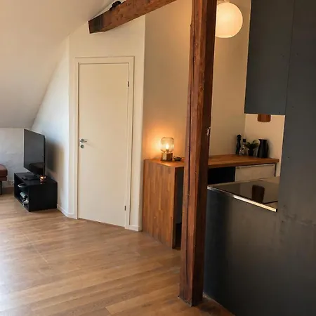 Lejlighed Scandinavian Loft On Frogner *